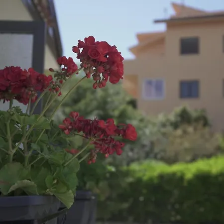 Bed & Breakfast Pitagora