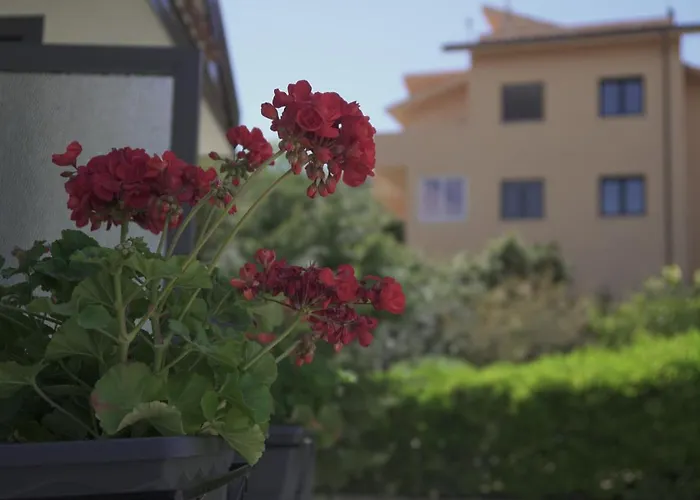 Bed & Breakfast Pitagora